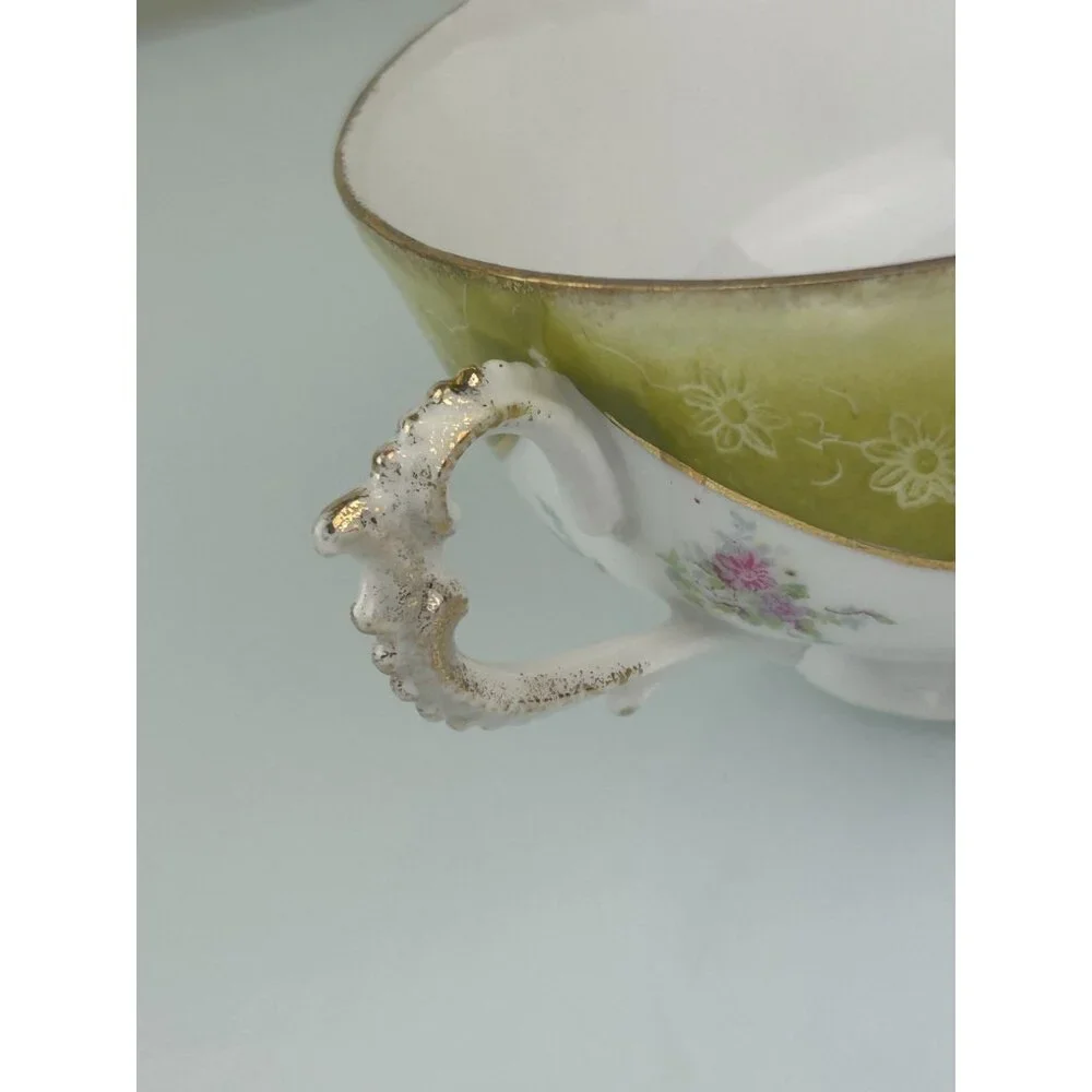 Excelsior Austria Porcelain Teacup & Saucer Green Pink Floral Victorian